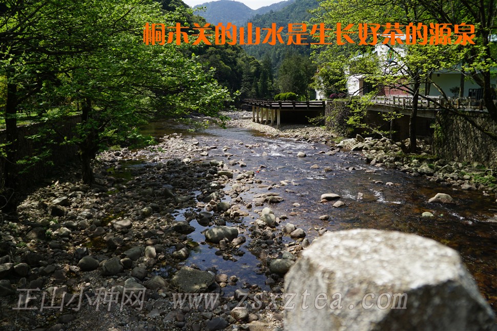 ͩľɽСҰɲд