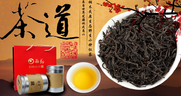 特级桐木关正山小种野茶