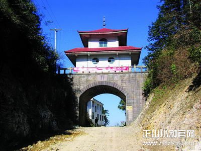 登桐木关寻源桐木关正山小种红茶